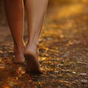 Grounding en terapia transpersonal somática